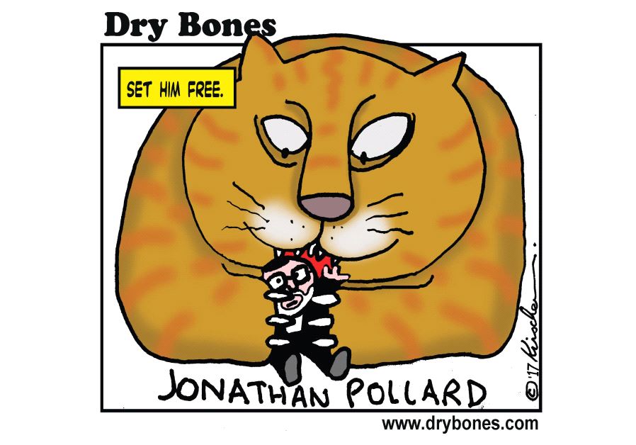 Dry Bones
