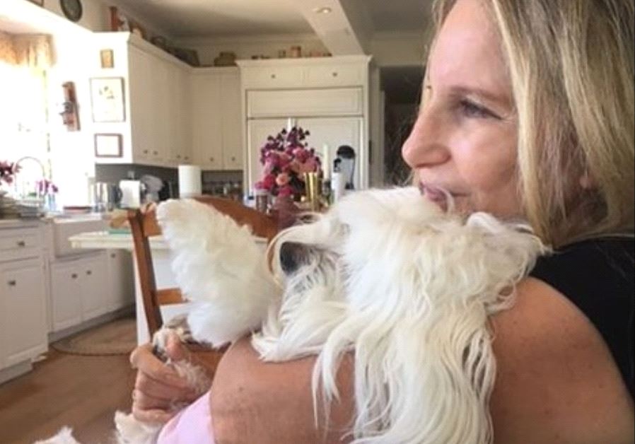 Barbra Streisand announced the death of her dog, Sammie, on her social media accounts.