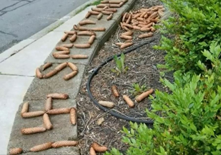 Pine cones spelling out antisemitic messages near Pittsburgh, US.