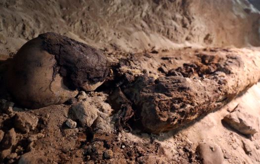 A mummy is seen inside the newly discovered burial site in Minya, Egypt May 13, 2017