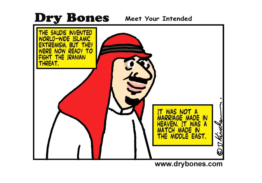 Dry Bones Cartoon June 7, 2017
