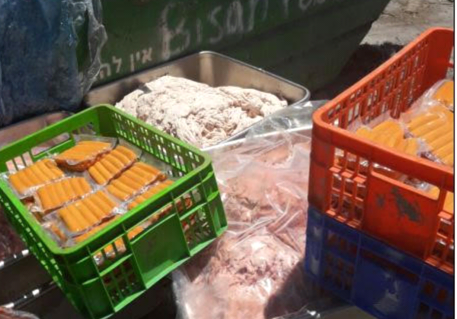 Koshner and non-kosher food 