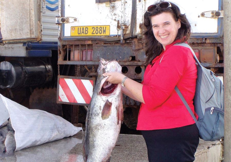 PRO F. BERT A LEVAVI-SIVAN shows the result of research on fish growth done at Hebrew University’s Robert H. Smith Faculty of Agriculture, Food and Environment