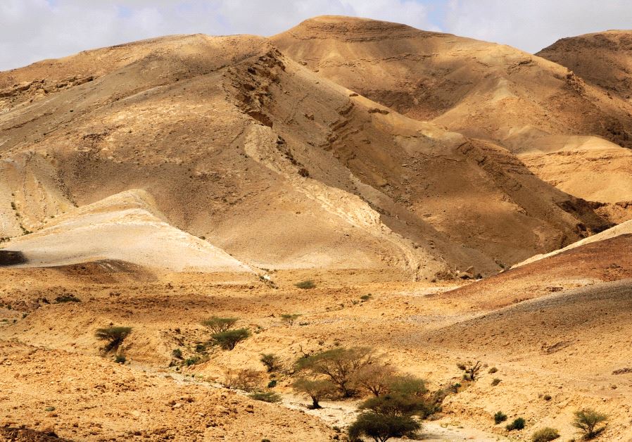 A desert in Israel (illustrative)