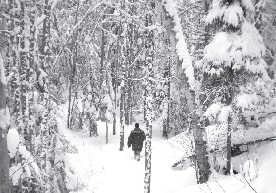 A man wandering around the snow